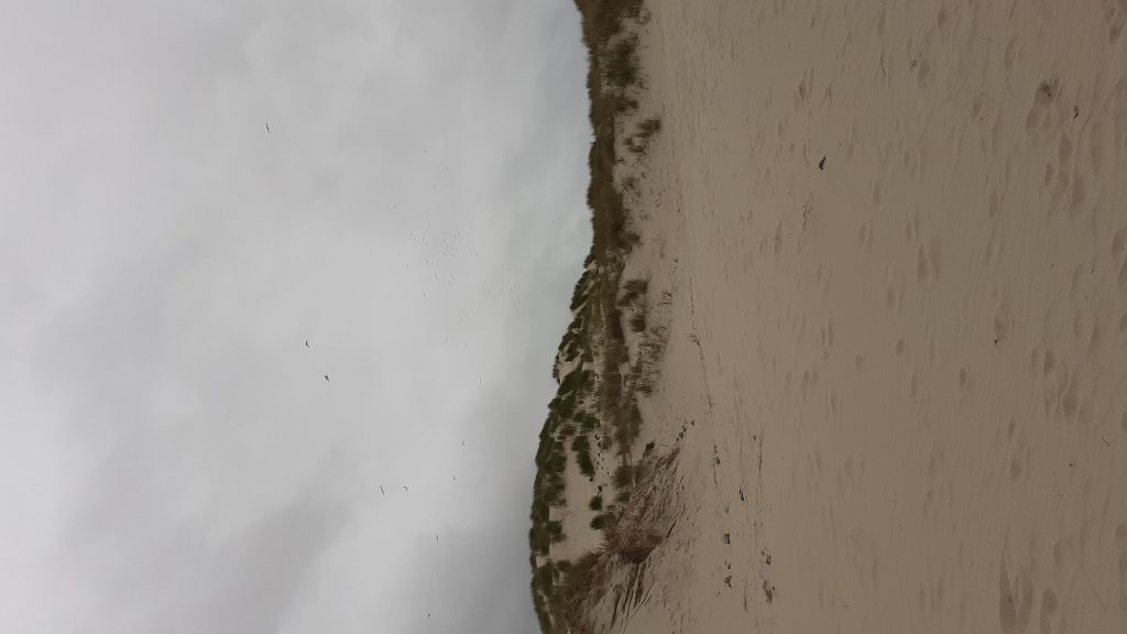20220526_160016